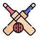 Cricket App Development