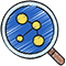 Market Research and Planning