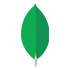 MongoDB 