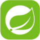 Spring Boot