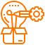 Customization and Innovation