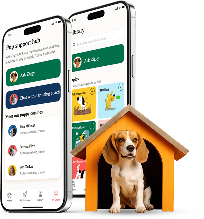 Why Should Businesses Invest in Pet Care App Like Rover?