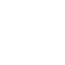 Software Integration Services