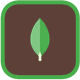 MongoDB