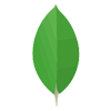 MongoDB